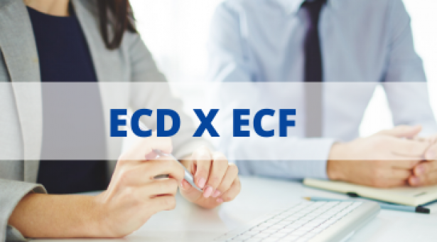 ECD e ECF: Prorrogados Prazos de Entrega